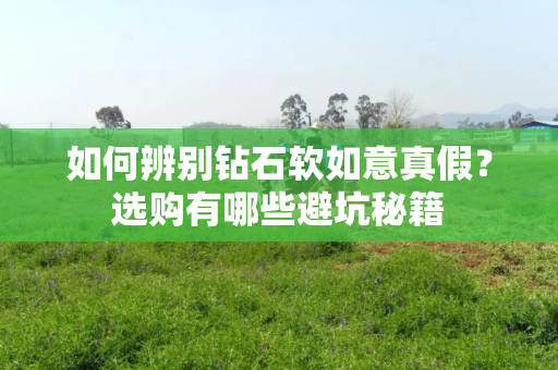 如何辨别钻石软如意真假？选购有哪些避坑秘籍